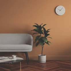 LickPro Eggshell Orange 02 Emulsion Paint 2.5Ltr 7 LickPro Eggshell Orange 02 Emulsion Paint 2.5Ltr -Harris Paint Store 111JY A5