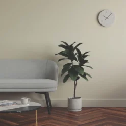 LickPro Eggshell Beige 04 Emulsion Paint 5Ltr 7 LickPro Eggshell Beige 04 Emulsion Paint 5Ltr -Harris Paint Store 184JX A5