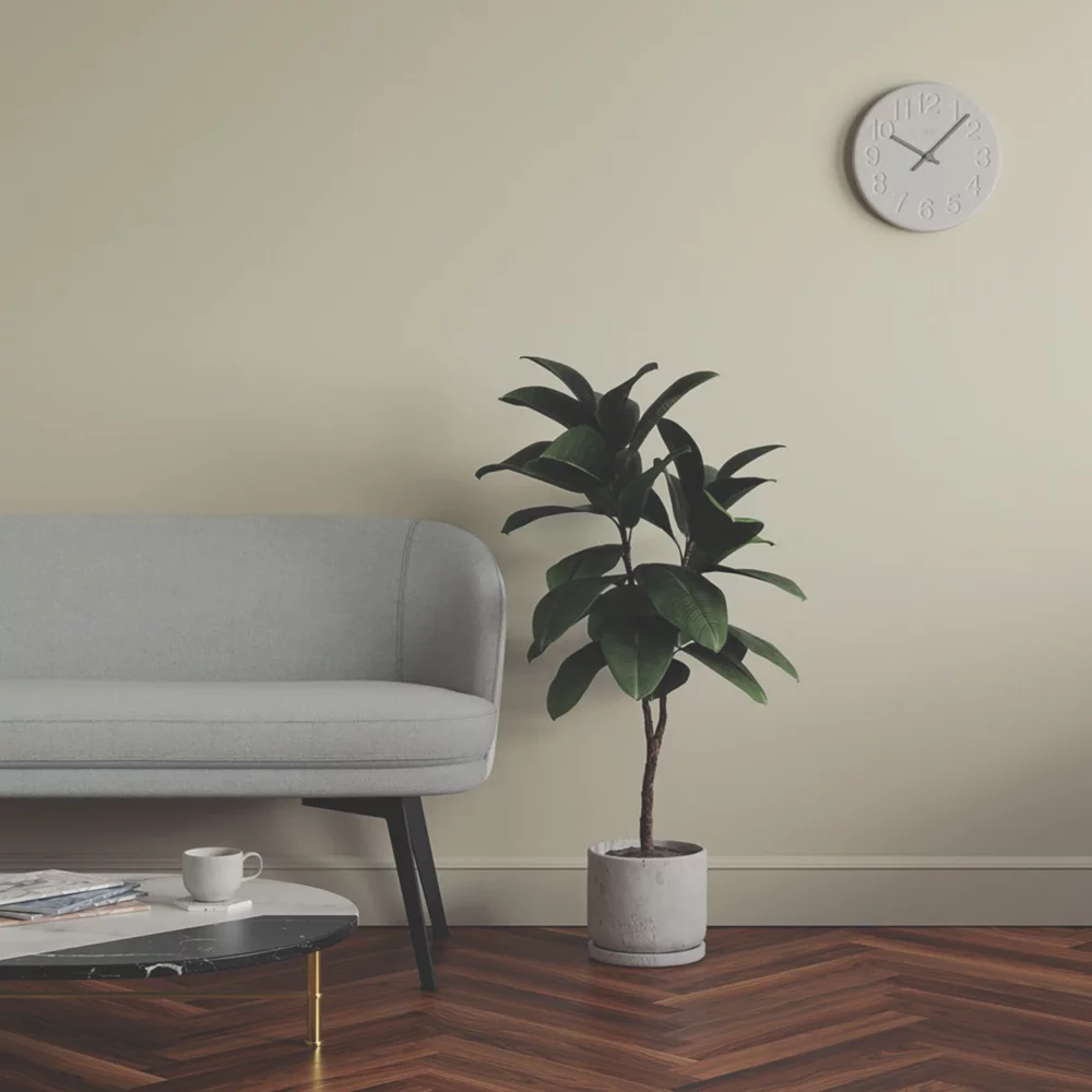 LickPro Eggshell Beige 04 Emulsion Paint 5Ltr LickPro Eggshell Beige 04 Emulsion Paint 5Ltr -Harris Paint Store 184JX A5