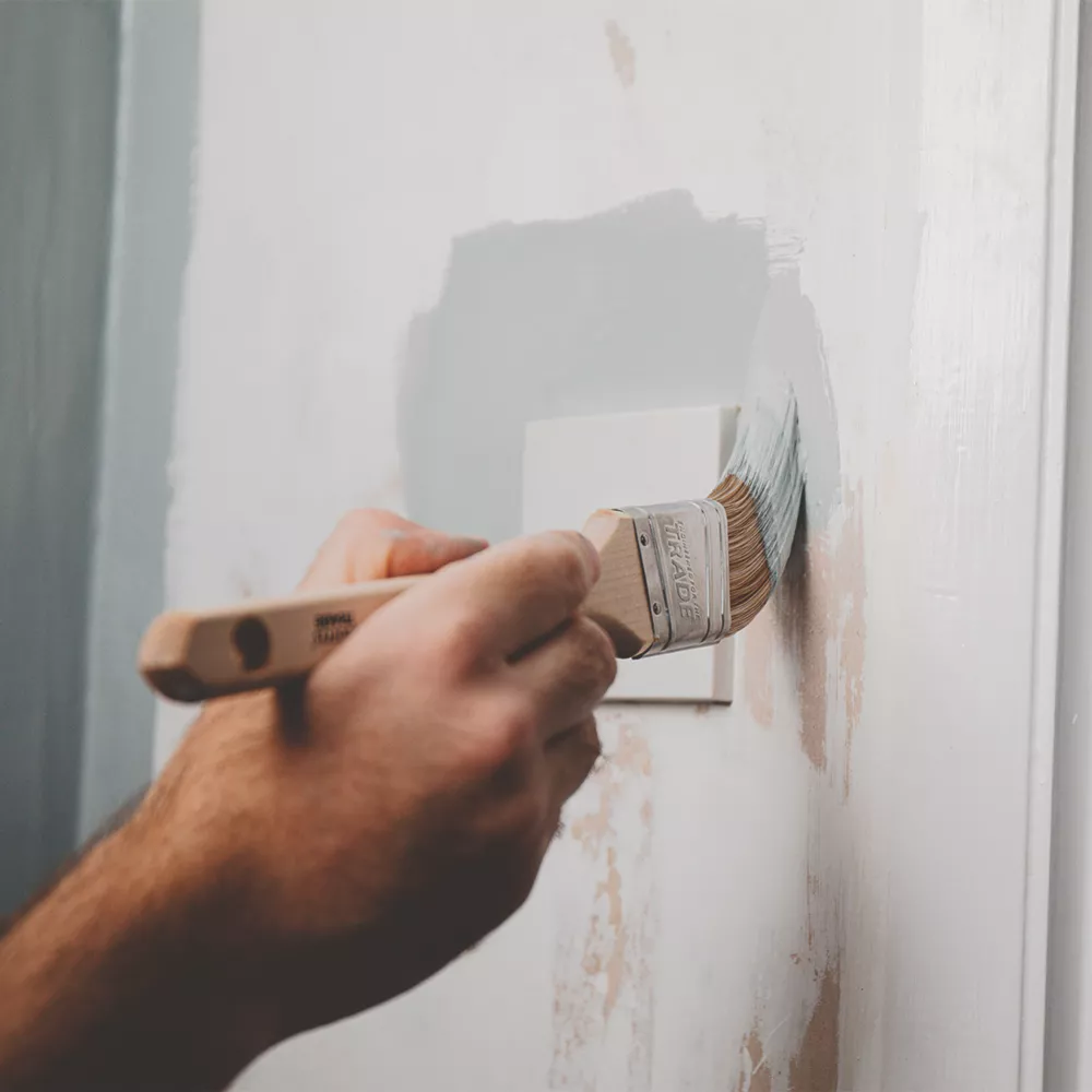 Harris Trade Angled Sash Cutting-In Paintbrush 1 1/2" Harris Trade Angled Sash Cutting-In Paintbrush 1 1/2" -Harris Paint Store 2316X A4