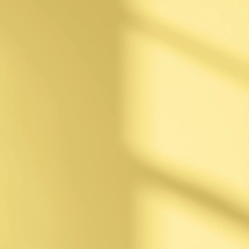 LickPro Eggshell Yellow 06 Emulsion Paint 2.5Ltr LickPro Eggshell Yellow 06 Emulsion Paint 2.5Ltr -Harris Paint Store 273JY A3