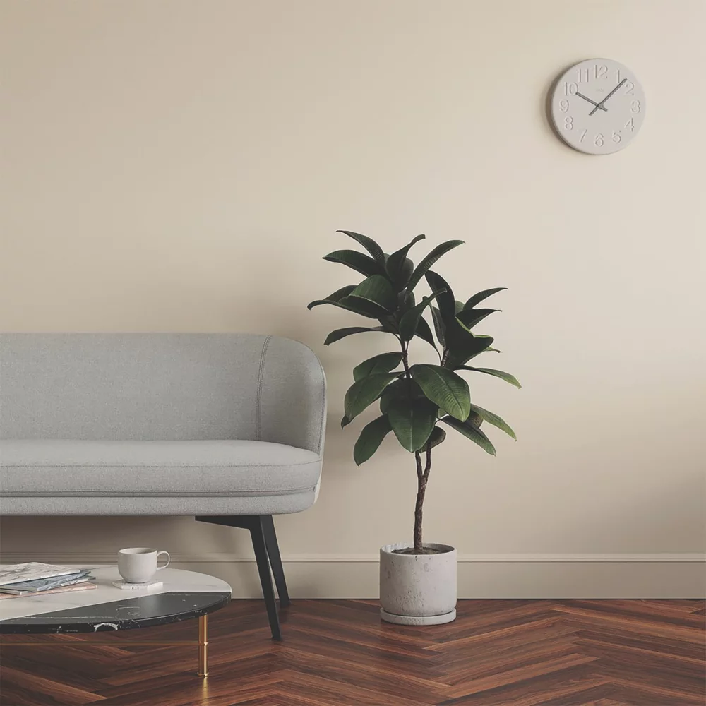 LickPro Eggshell White 05 Emulsion Paint 5Ltr LickPro Eggshell White 05 Emulsion Paint 5Ltr -Harris Paint Store 295JY A5