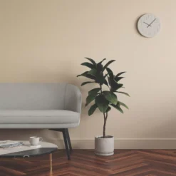 LickPro Eggshell Beige 01 Emulsion Paint 5Ltr 7 LickPro Eggshell Beige 01 Emulsion Paint 5Ltr -Harris Paint Store 337KF A5