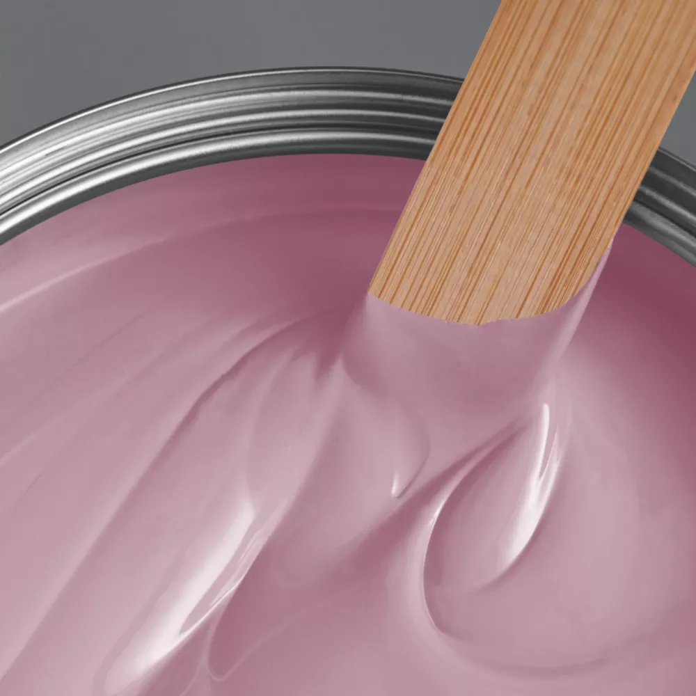 LickPro Matt Pink 10 Emulsion Paint 2.5Ltr LickPro Matt Pink 10 Emulsion Paint 2.5Ltr -Harris Paint Store 393JY A1