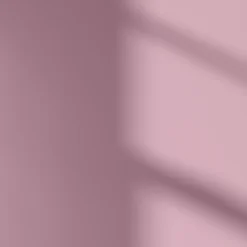 LickPro Matt Pink 10 Emulsion Paint 2.5Ltr 5 LickPro Matt Pink 10 Emulsion Paint 2.5Ltr -Harris Paint Store 393JY A3