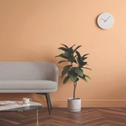 LickPro Eggshell Orange 03 Emulsion Paint 5Ltr -Harris Paint Store 395JY A5