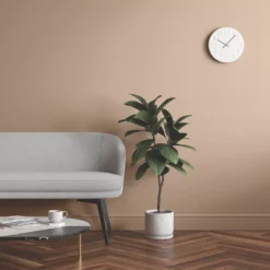 LickPro Matt Beige 08 Emulsion Paint 2.5Ltr -Harris Paint Store 429JY A5