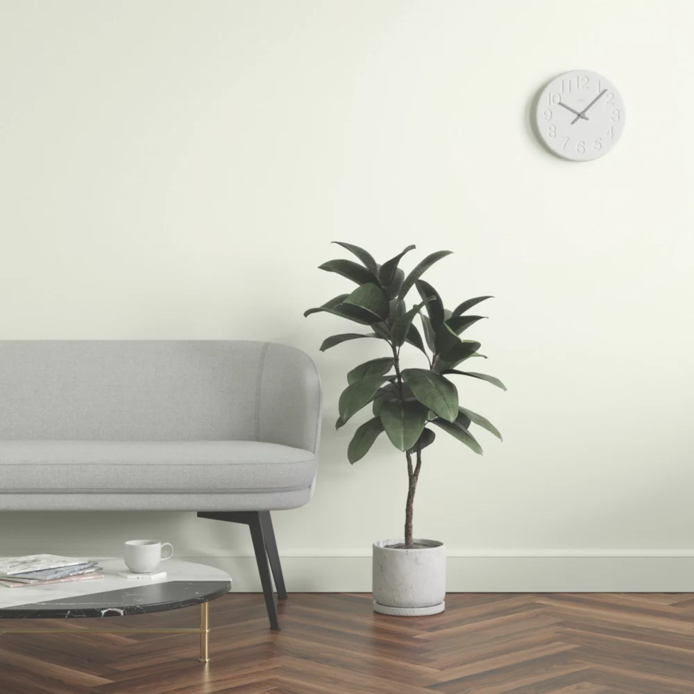 LickPro Eggshell White 11 Emulsion Paint 2.5Ltr LickPro Eggshell White 11 Emulsion Paint 2.5Ltr -Harris Paint Store 430JX A5