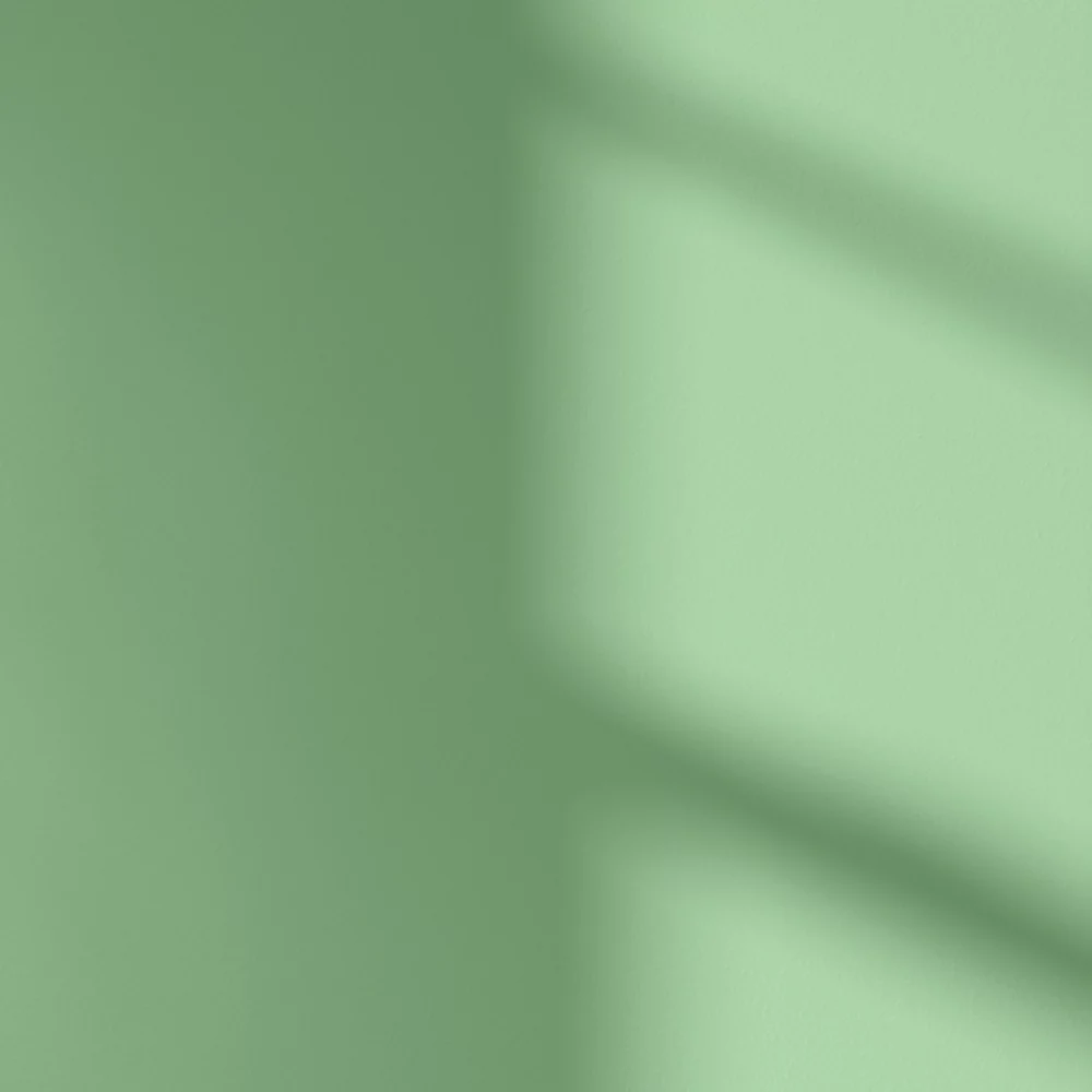 LickPro Eggshell Green 16 Emulsion Paint 5Ltr LickPro Eggshell Green 16 Emulsion Paint 5Ltr -Harris Paint Store 517JY A3