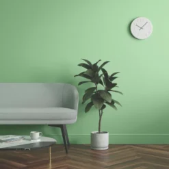 LickPro Eggshell Green 16 Emulsion Paint 5Ltr 7 LickPro Eggshell Green 16 Emulsion Paint 5Ltr -Harris Paint Store 517JY A5