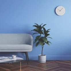 LickPro Matt Blue 10 Emulsion Paint 2.5Ltr 7 LickPro Matt Blue 10 Emulsion Paint 2.5Ltr -Harris Paint Store 601JY A5