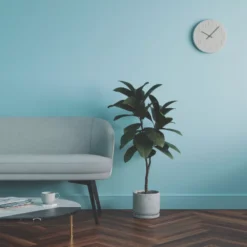 LickPro Eggshell Blue 08 Emulsion Paint 2.5Ltr -Harris Paint Store 608JY A5