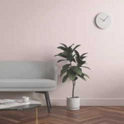 LickPro Eggshell Pink 07 Emulsion Paint 5Ltr -Harris Paint Store 710JY A5