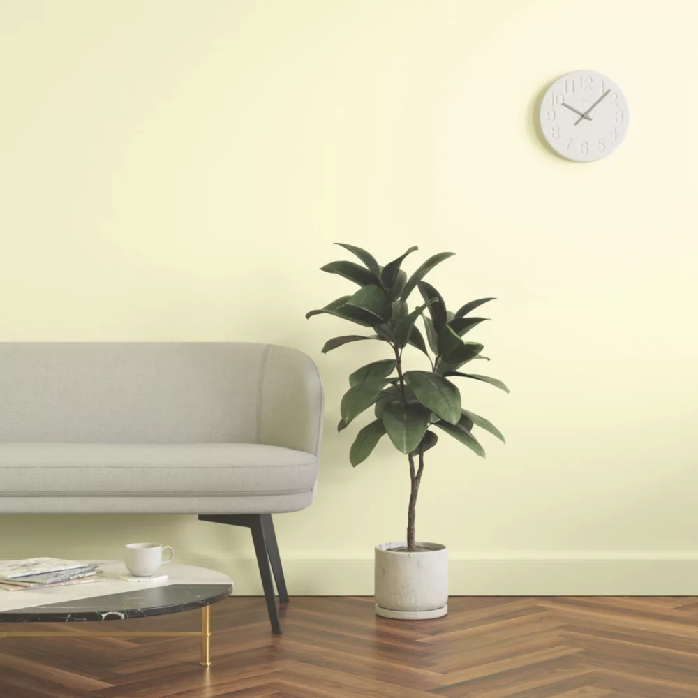 LickPro Eggshell Yellow 05 Emulsion Paint 5Ltr LickPro Eggshell Yellow 05 Emulsion Paint 5Ltr -Harris Paint Store 777JY A5