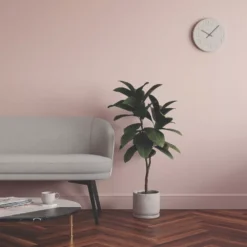 LickPro Eggshell Pink 03 Emulsion Paint 5Ltr -Harris Paint Store 792KF A5