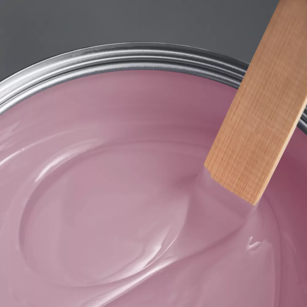 LickPro Eggshell Pink 10 Emulsion Paint 5Ltr LickPro Eggshell Pink 10 Emulsion Paint 5Ltr -Harris Paint Store 830JY A1