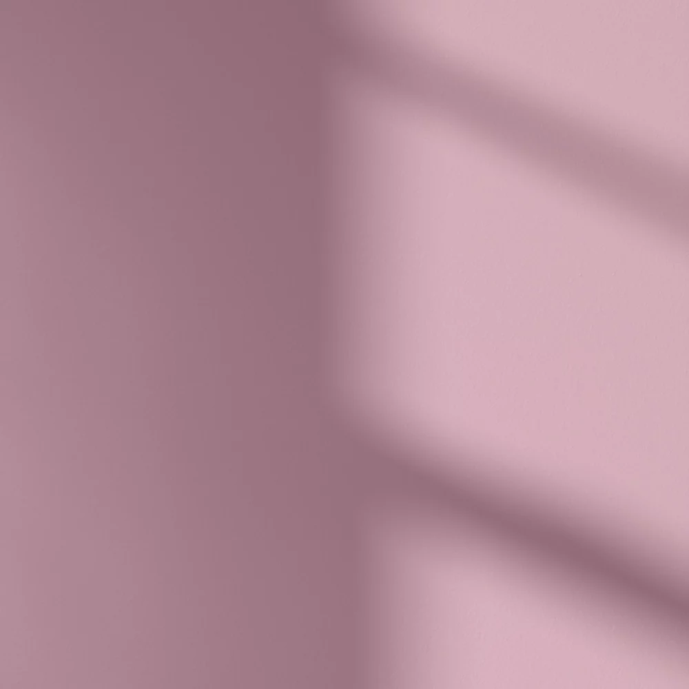 LickPro Eggshell Pink 10 Emulsion Paint 5Ltr LickPro Eggshell Pink 10 Emulsion Paint 5Ltr -Harris Paint Store 830JY A3