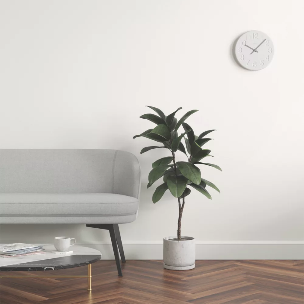 LickPro Eggshell Taupe 02 Emulsion Paint 5Ltr LickPro Eggshell Taupe 02 Emulsion Paint 5Ltr -Harris Paint Store 858JX A5