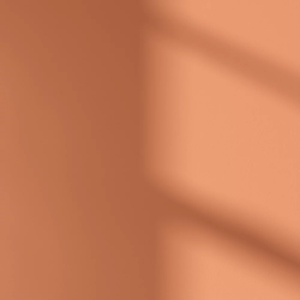 LickPro Eggshell Orange 04 Emulsion Paint 5Ltr LickPro Eggshell Orange 04 Emulsion Paint 5Ltr -Harris Paint Store 896JX A3