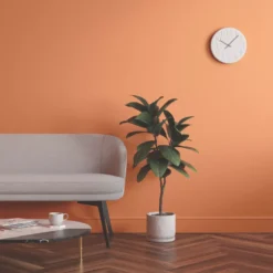 LickPro Eggshell Orange 04 Emulsion Paint 5Ltr 7 LickPro Eggshell Orange 04 Emulsion Paint 5Ltr -Harris Paint Store 896JX A5