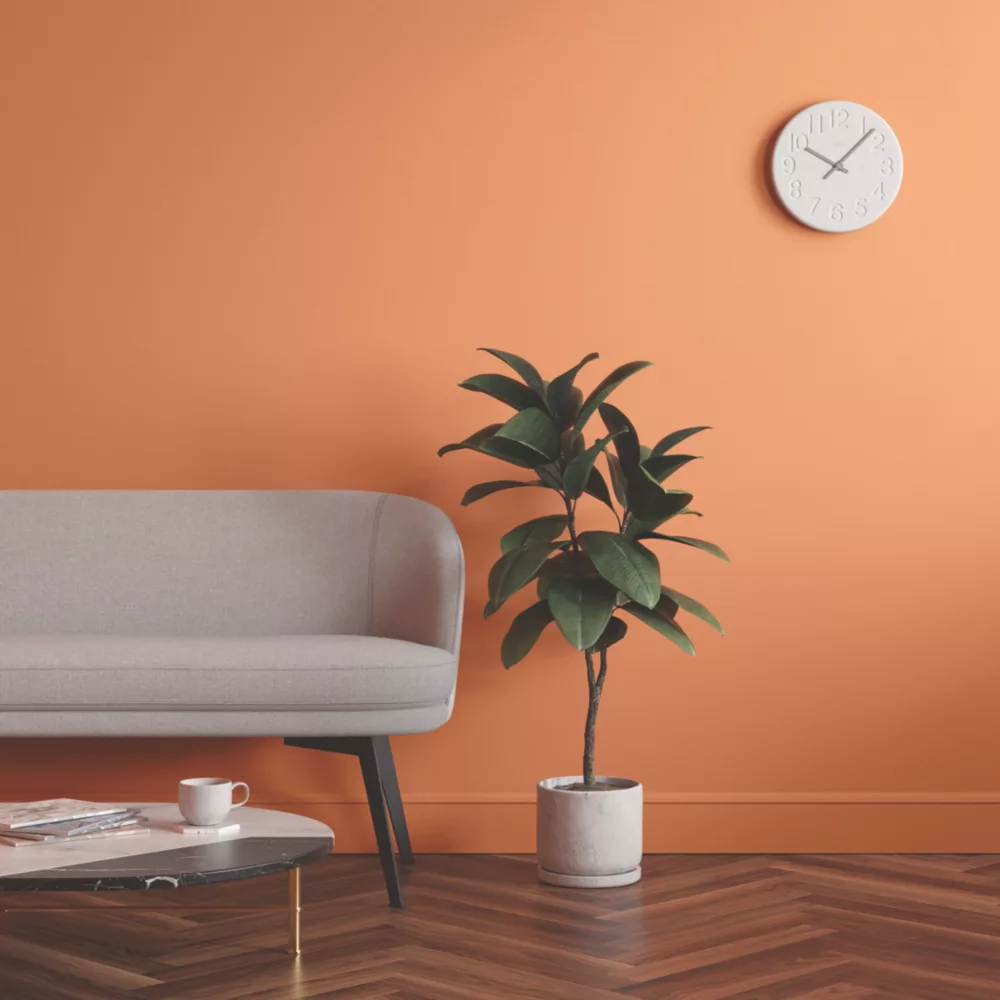 LickPro Eggshell Orange 04 Emulsion Paint 5Ltr LickPro Eggshell Orange 04 Emulsion Paint 5Ltr -Harris Paint Store 896JX A5