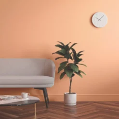 LickPro Matt Orange 05 Emulsion Paint 2.5Ltr -Harris Paint Store 902JX A5