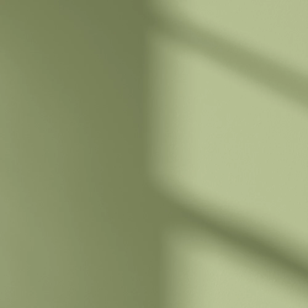 LickPro Eggshell Green 18 Emulsion Paint 2.5Ltr LickPro Eggshell Green 18 Emulsion Paint 2.5Ltr -Harris Paint Store 932JY A3