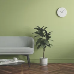 LickPro Eggshell Green 18 Emulsion Paint 2.5Ltr 7 LickPro Eggshell Green 18 Emulsion Paint 2.5Ltr -Harris Paint Store 932JY A5