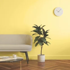 LickPro Eggshell Yellow 06 Emulsion Paint 5Ltr -Harris Paint Store 967JY A5