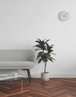 LickPro Eggshell White 04 Emulsion Paint 2.5Ltr -Harris Paint Store 977JY A5