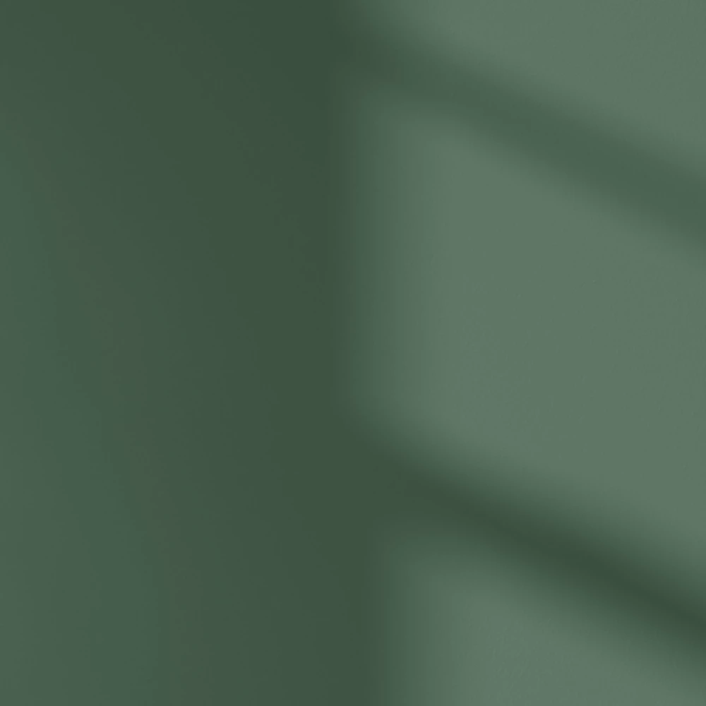 LickPro Matt Green 20 Emulsion Paint 2.5Ltr LickPro Matt Green 20 Emulsion Paint 2.5Ltr -Harris Paint Store 978JY A3