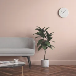 LickPro Eggshell Pink 08 Emulsion Paint 2.5Ltr -Harris Paint Store 979JY A5